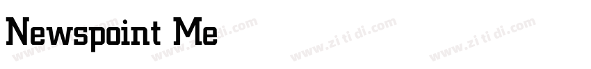 Newspoint Medium字体转换